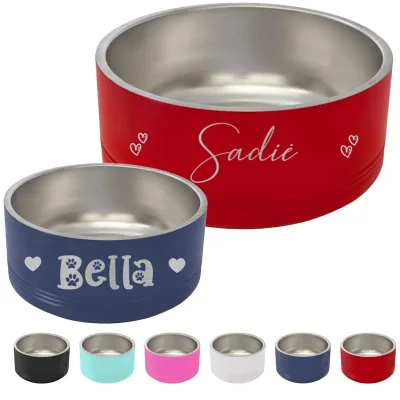 Personalized Engraved Insulated Stainless Steel Pet Bowl with Name